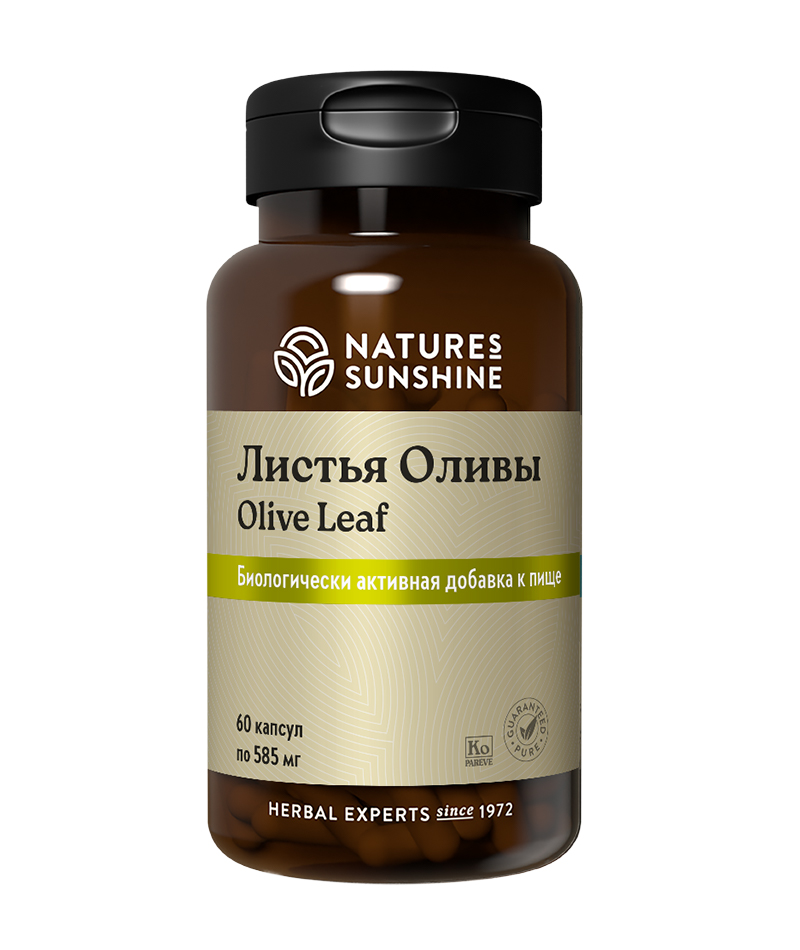 Листья оливы