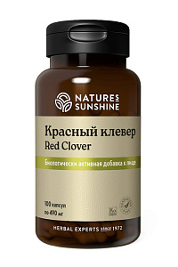Красный Клевер