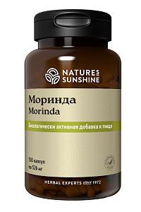 Моринда