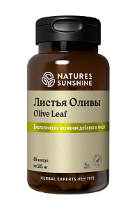 Листья оливы