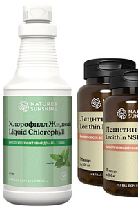 Программа Бросить курить